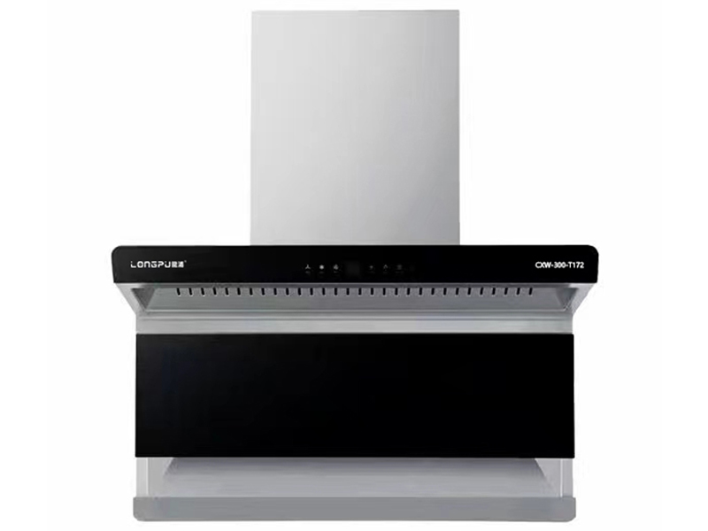 CXW-300-T172