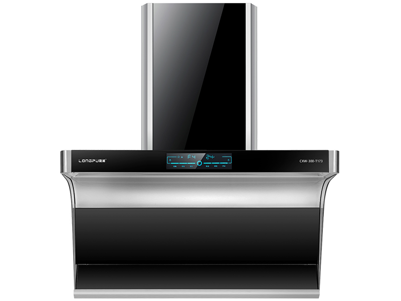 CXW-300-T173